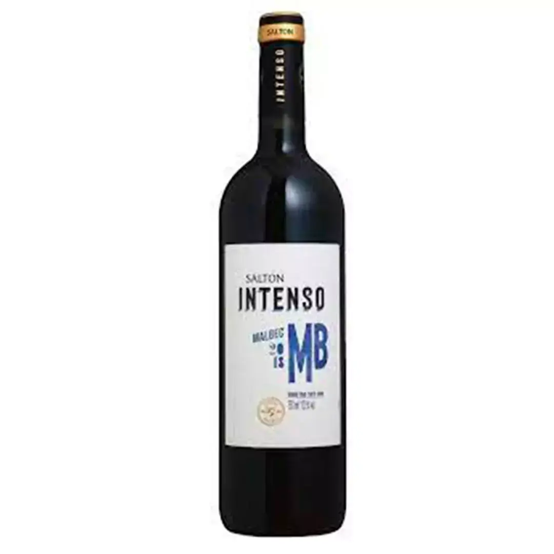 Vinho Argentino Salton Intenso Malbec 750ml