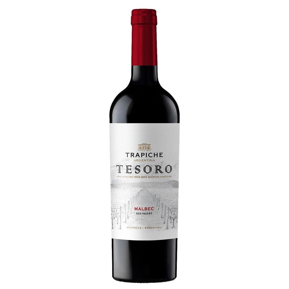 Vinho Argentino Tinto Seco Trapiche Tesoro Malbec Valle De Uco Garrafa 750ml