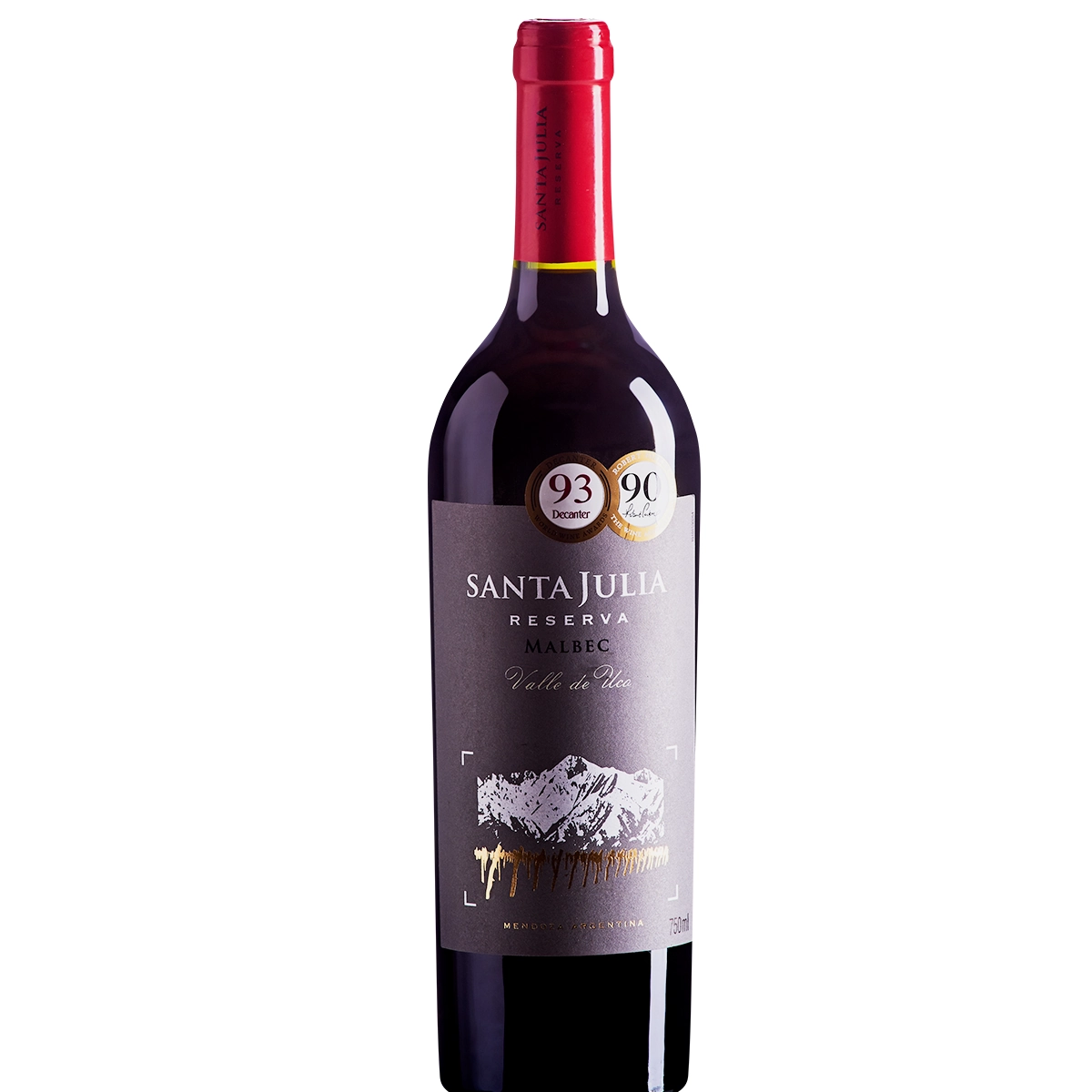 Vinho Argentino Tinto Malbec SANTA JÚLIA Garrafa 750ml