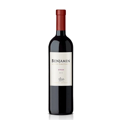 Vinho Argentino Tinto Seco Benjamin Nieto Senetiner Syrah Garrafa 750ml