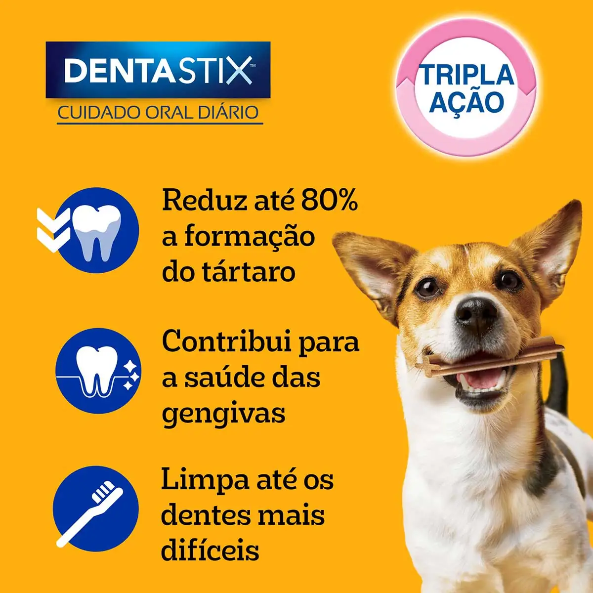 DENTASTIX RP 15.7GR