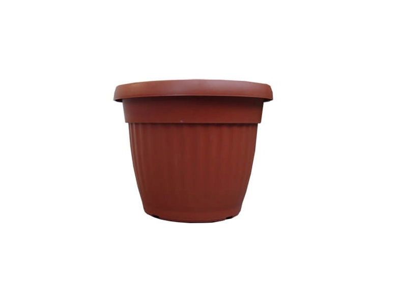 Vaso Matri Denise Terrac.20