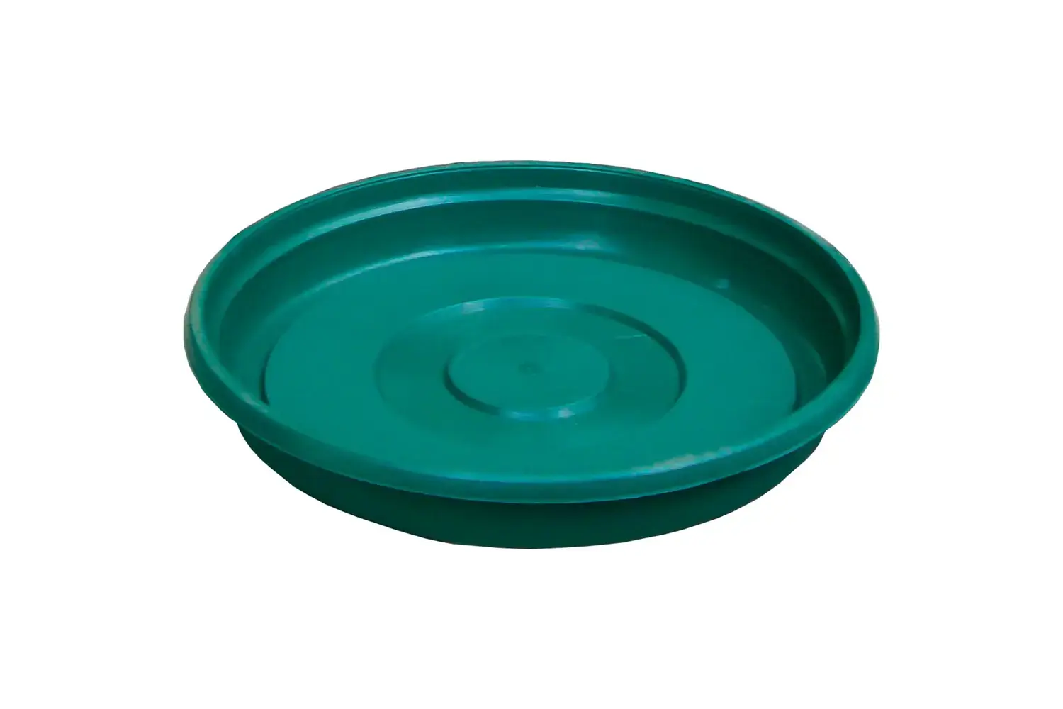 Prato Verde 18cm West Garden