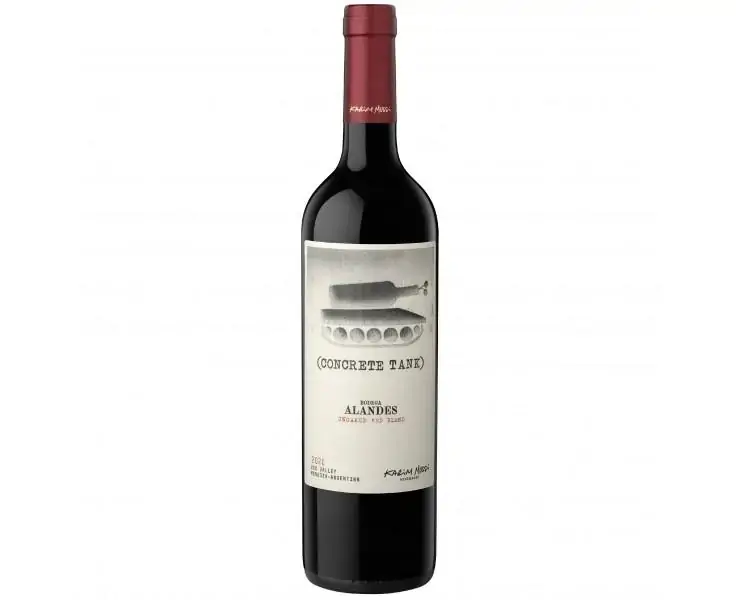Vinho Bodega Alandes Concreto 2020 Tinto Argentina 750ml