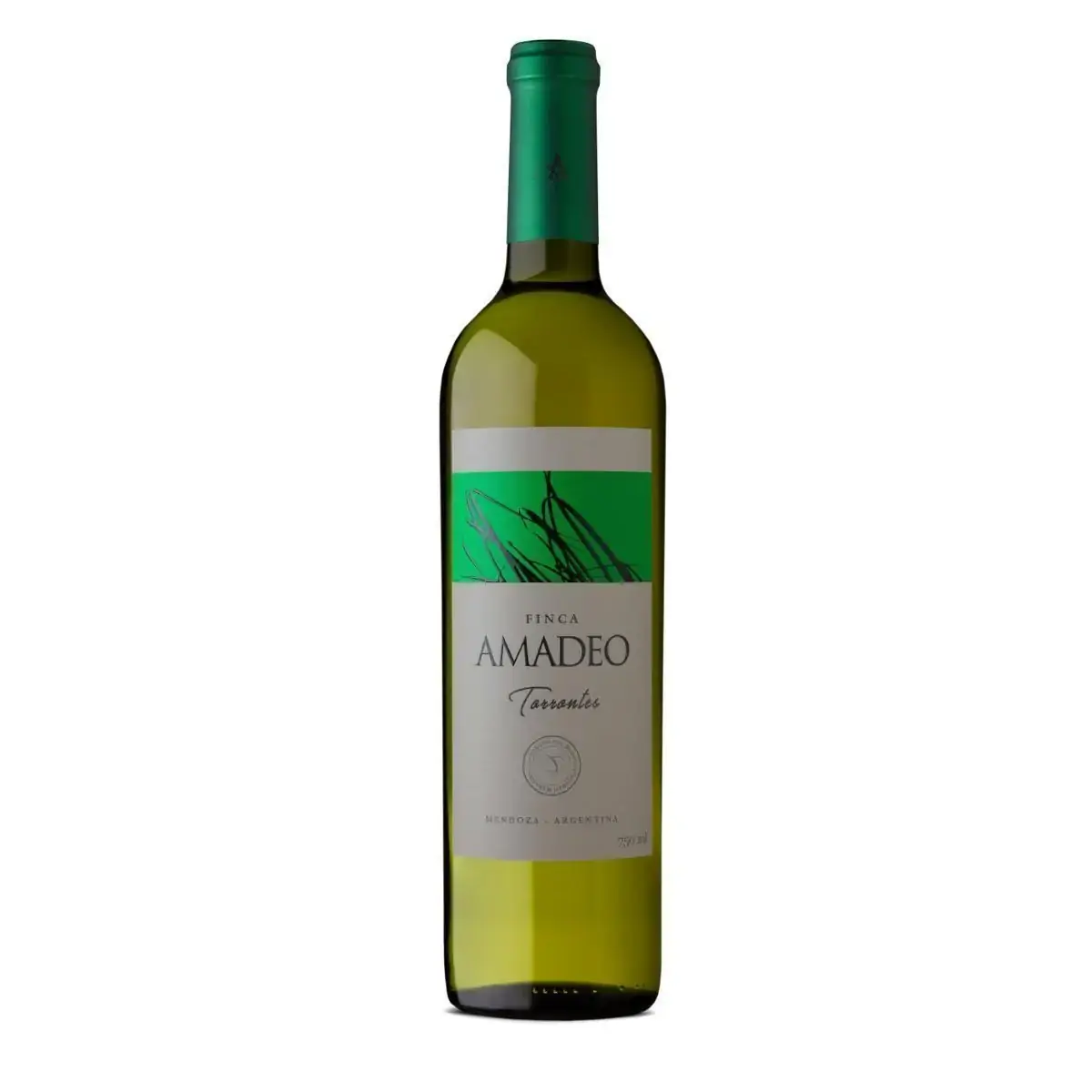 Vinho Argentino Amadeo Torrontes 750ml Branco