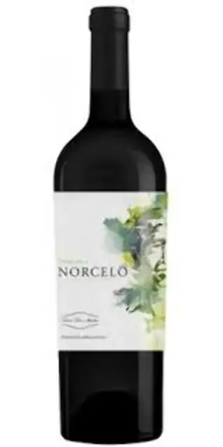 Vinho Cantagua Tributo A Norcelo Tinto 750ml