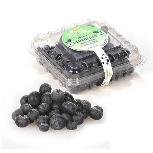 Blueberries 125gr Und