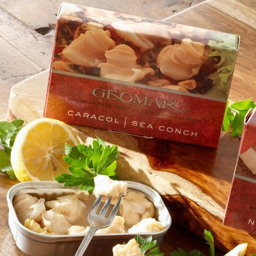 Caracol Trophon Natural Geomar
