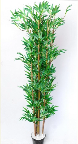 Arvore Bambu Mosso M 8279 Fiorella