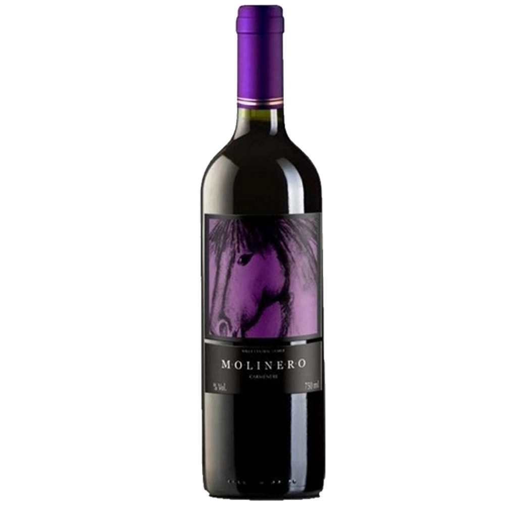 Vinho Tinto Chileno Molinero Cabernet Sauvignon 750ml
