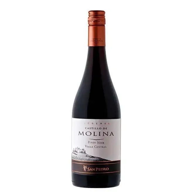 Castillo Molina Reserva Vina San Pedro Tinto Pinot Noir 2008