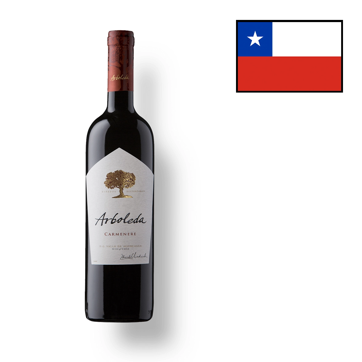 VINHO ARBOLEDA CARMENERE 750ML