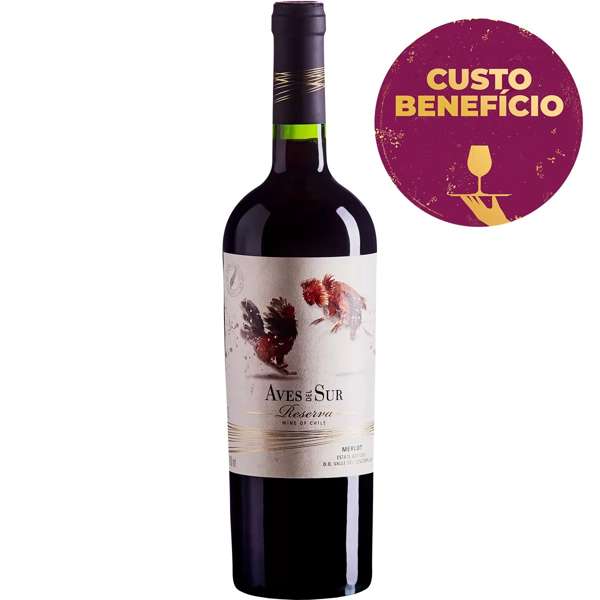 Vinho Chileno Tinto Seco Reserva Aves Del Sur Merlot Valle Del Loncomilla Garrafa 750ml
