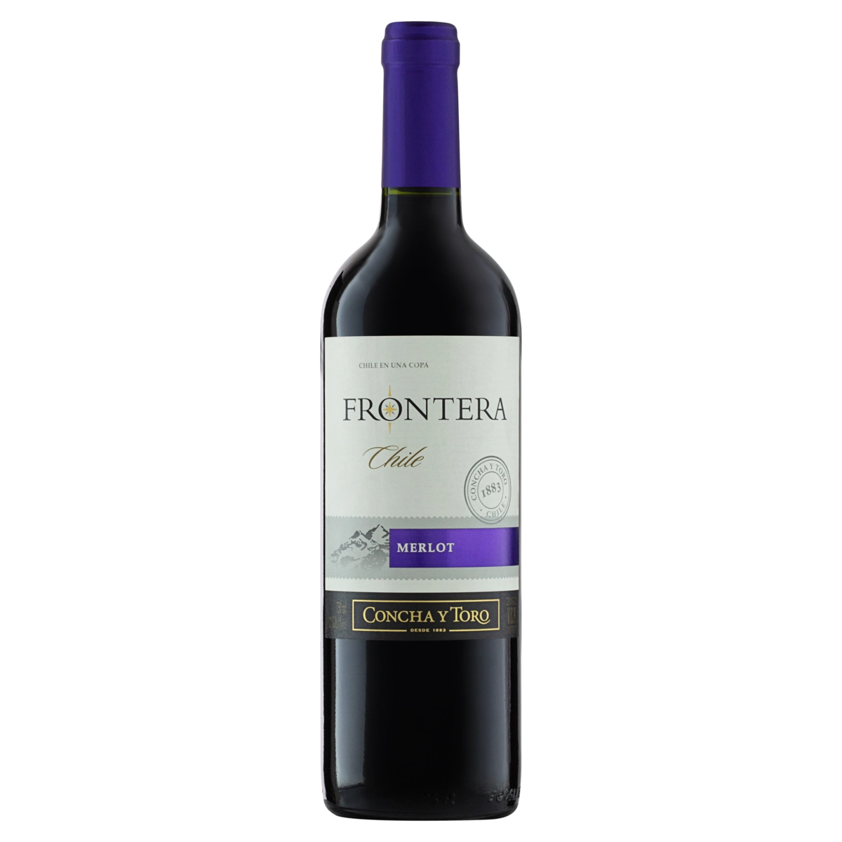 Vinho Chileno Tinto Meio Seco Frontera Merlot Valle Central Garrafa 750ml