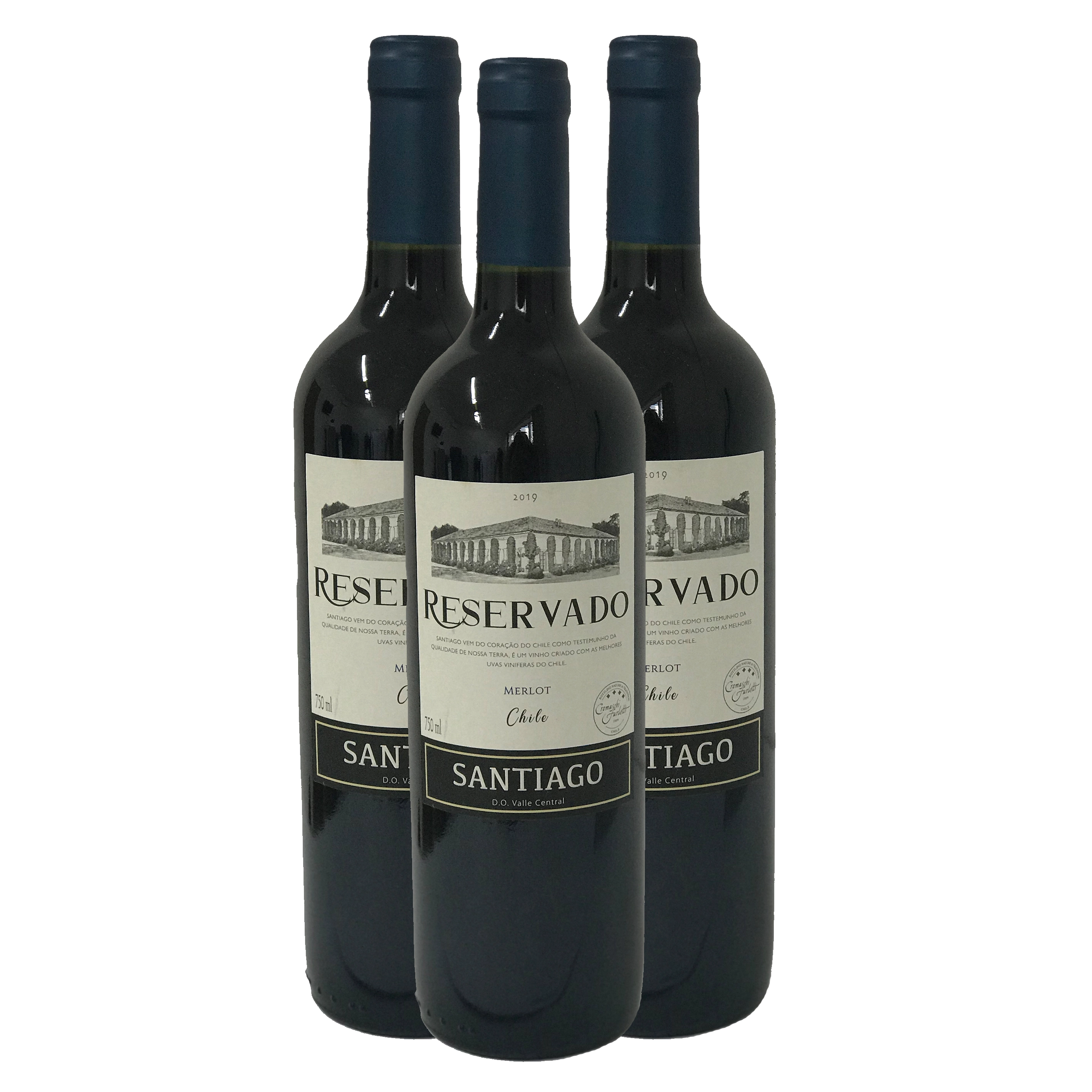 Vinho Santiago 750ml Merlot Reservado