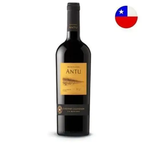 Vinho Montgras Antu Caber Sauv Gfa 750ml