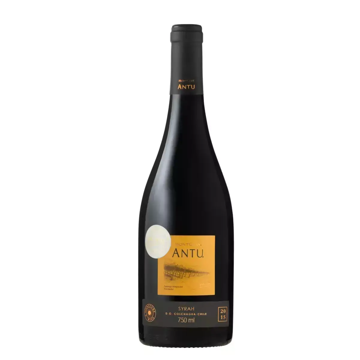 Vinho Chileno Tinto Antunes Ninqui MONTIGRAS Syrah Garrafa 750ml