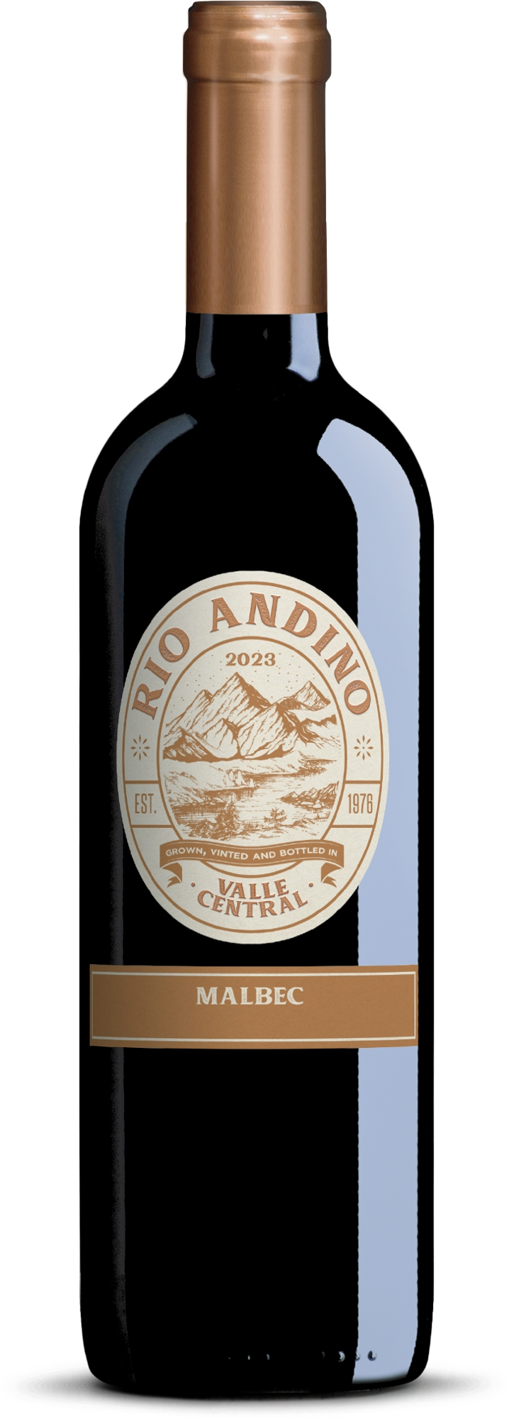 Vinho Tinto Chileno Seco Rio Andino Malbec Garrafa 750ml