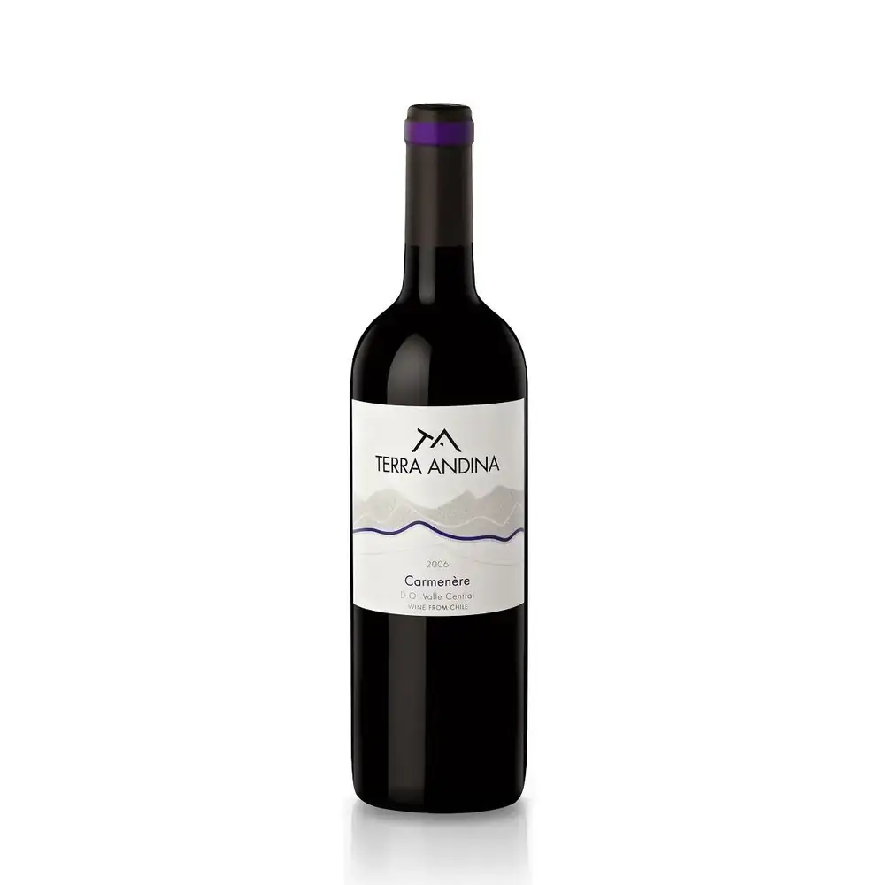 Vinho Terra Andina 750ml Carmenere