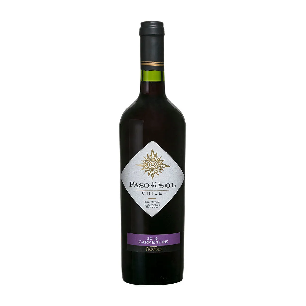 Vinho Paso Del Sol Carmenere