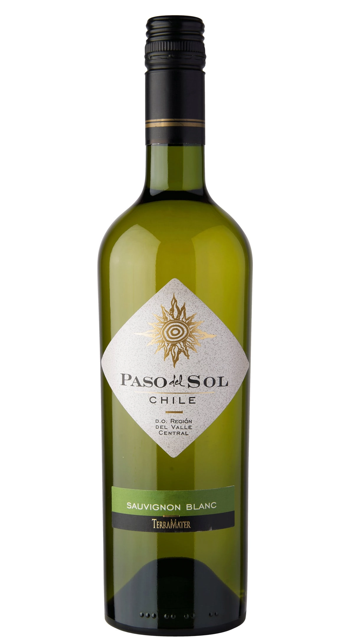 Vinho Paso Del Sol 750ml Sauvignon Blanc