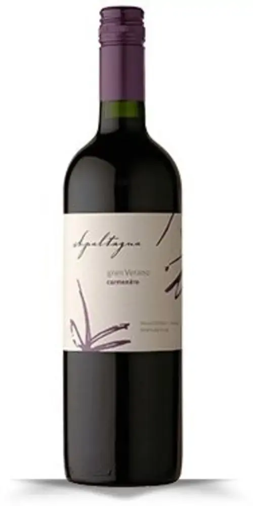 Vinho Chileno Tinto Seco Apaltagua Gran Verano Carménère Valle Central Garrafa 750ml