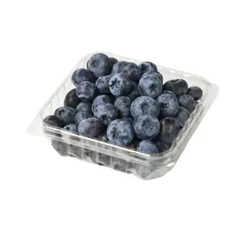 Mirtilo Frutart 100g Un
