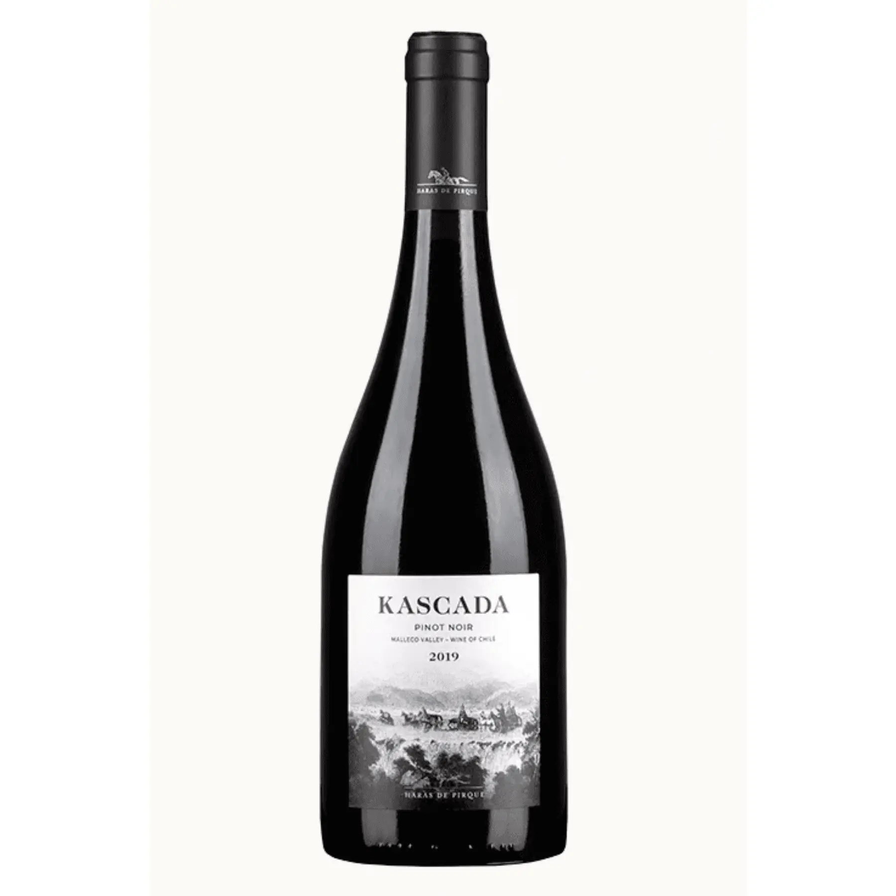 Vinho Tinto Pinot Noir 2019 Kascada 750ml