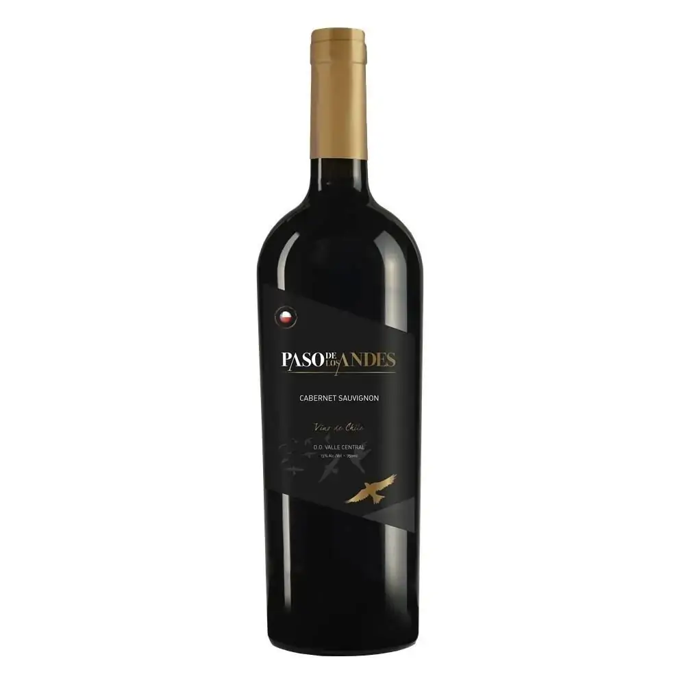 Vinho Paso De Los Andes Cabernet Sauvignon 750ml