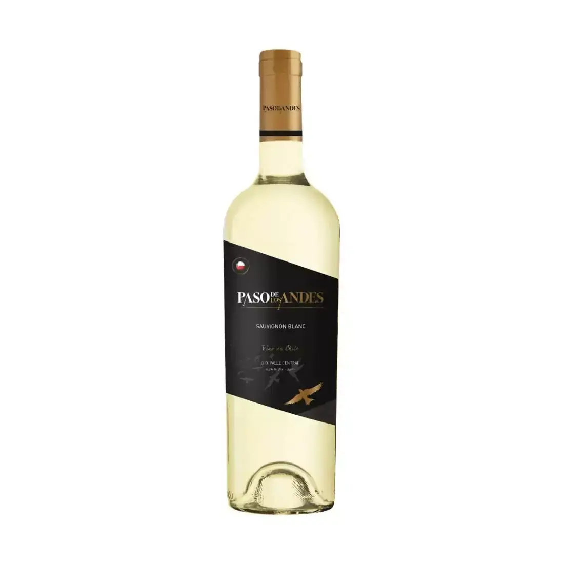 Vinho Paso De Los Andes Sauvignon Blanc 750ml