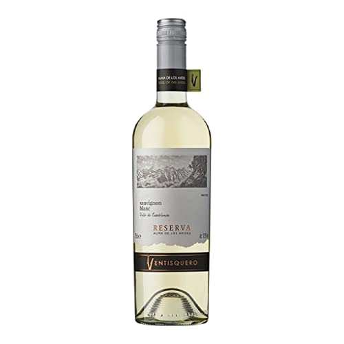 Reserva Ventisquero Branco Sauvignon Blanc 2008