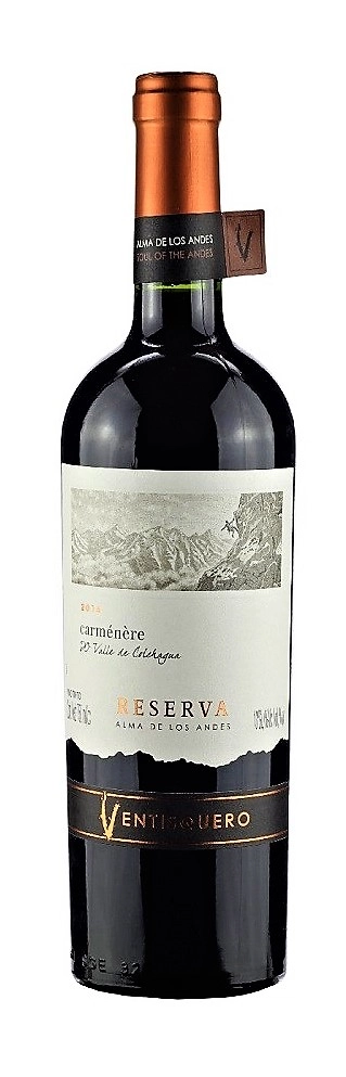 Vinho Chil Ventisq Reserva Carmenere