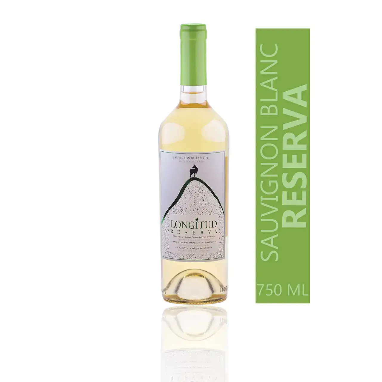 Vinho Branco Longitud Sauvignon Blanc Reserva 750 Ml