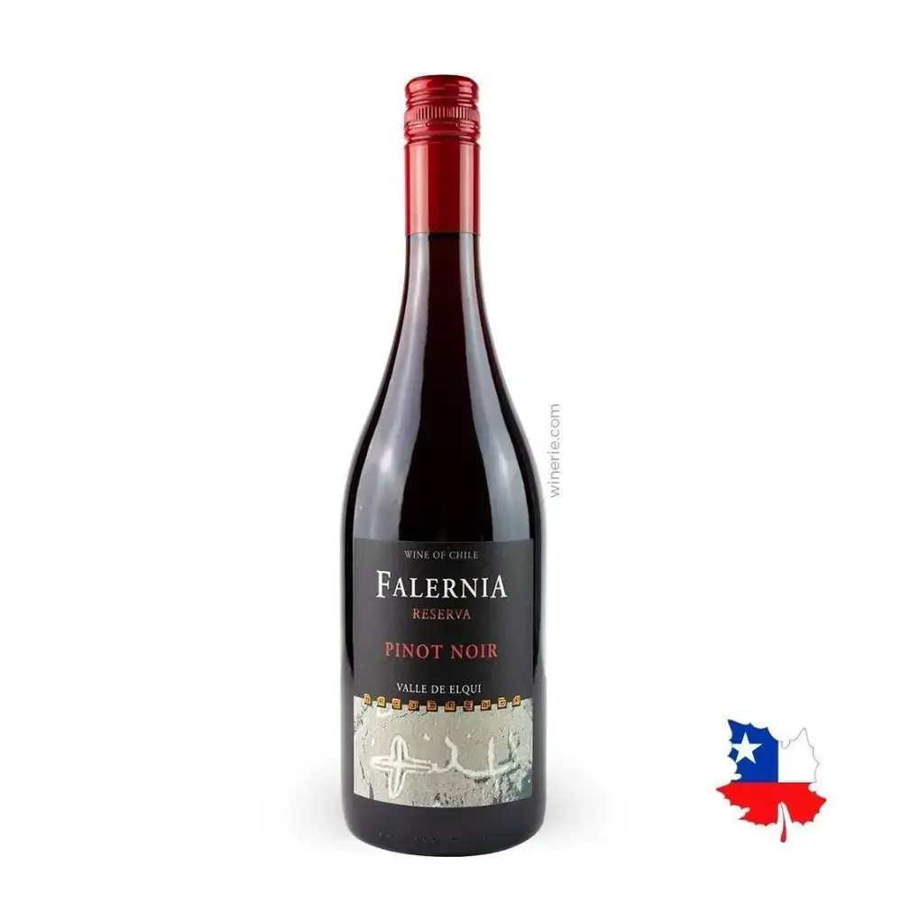 Vinho Pknt Pinot Noir Tinto