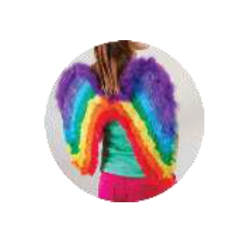 Asa De Anjo Arco Iris Qfes