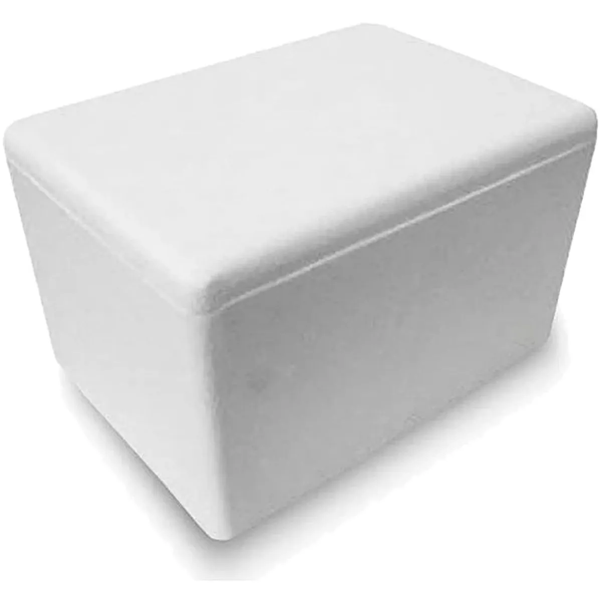 Estojo De Isopor Para Insulina - 0,8 Litro