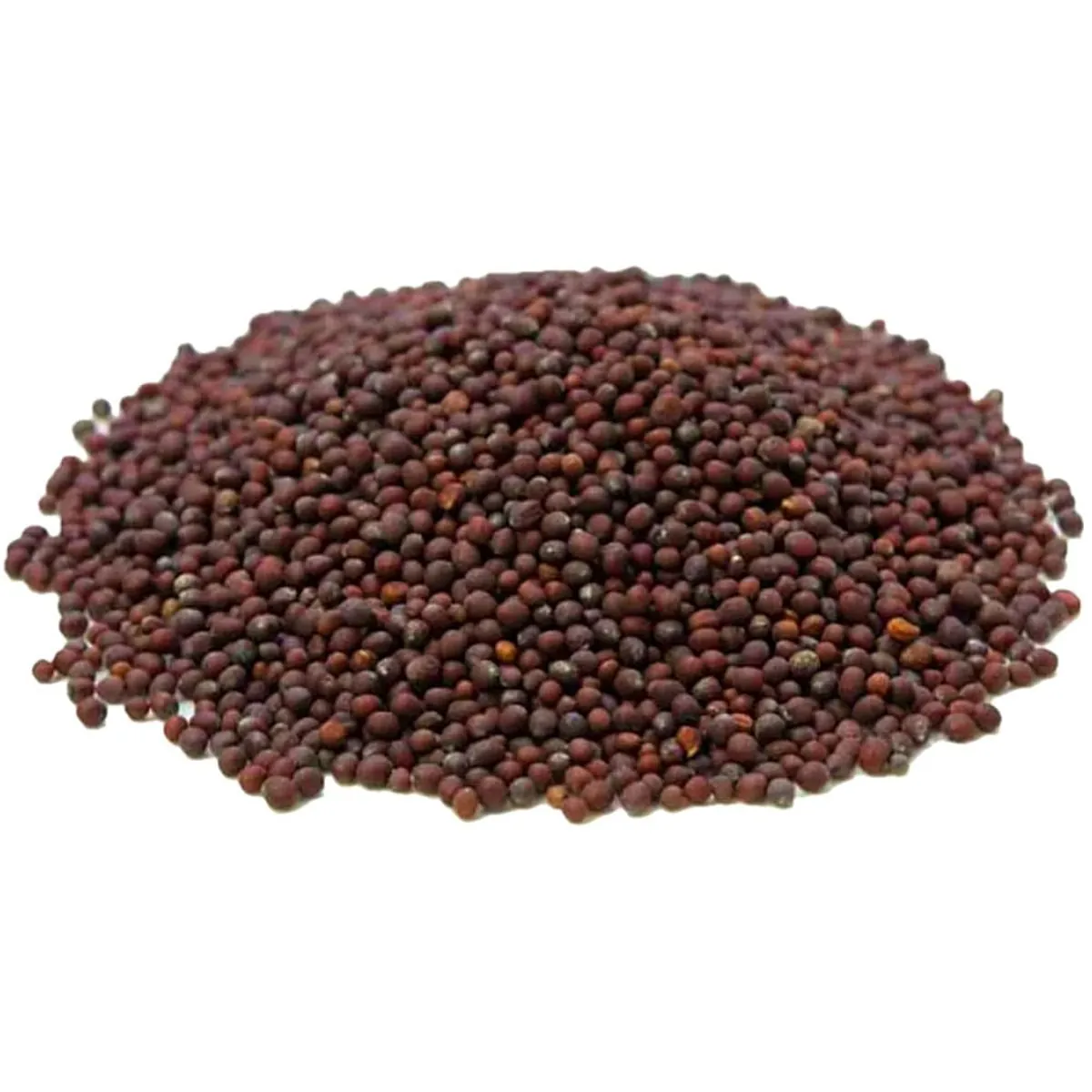 Semente De Mostarda Preta Para Acupuntura Auricular - 100g