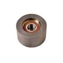 Polia do Tensor Alternador - ROCHEPECAS 2Z0903119A