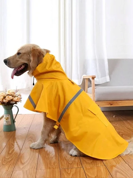 Capa De Chuva M
