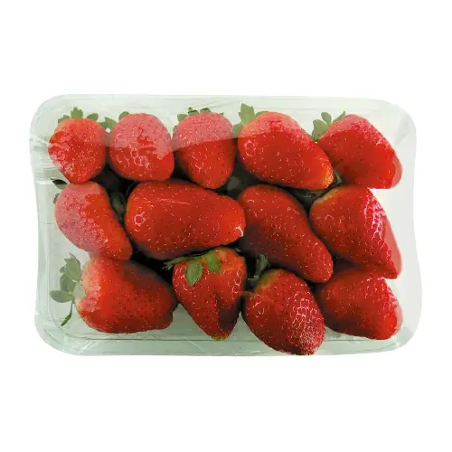 Morango Garibaldi Bandeja 280g