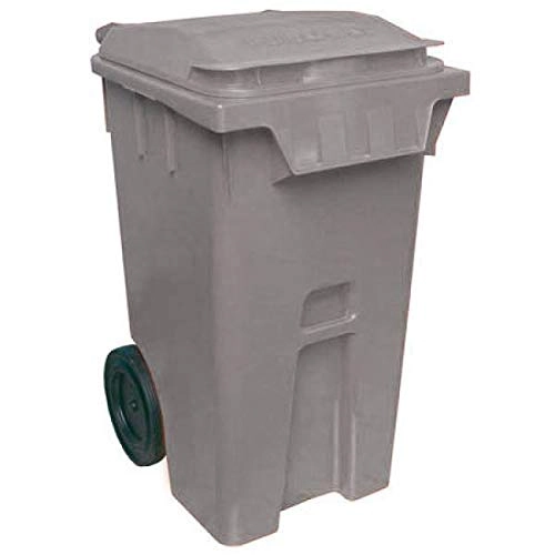 Planta Anth Rianne P12