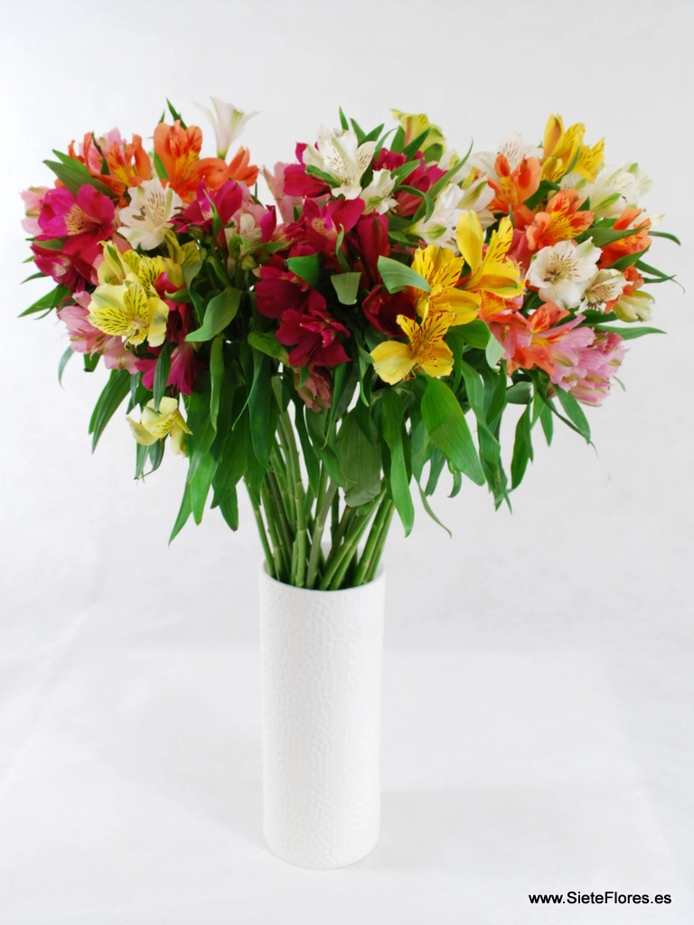 Flor Mc Astroemeria Hart Flor