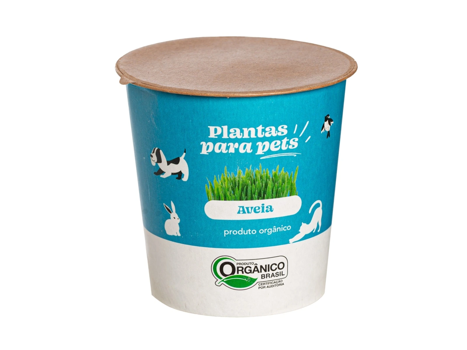 Plantas P/ Pets Pt10 Aveia