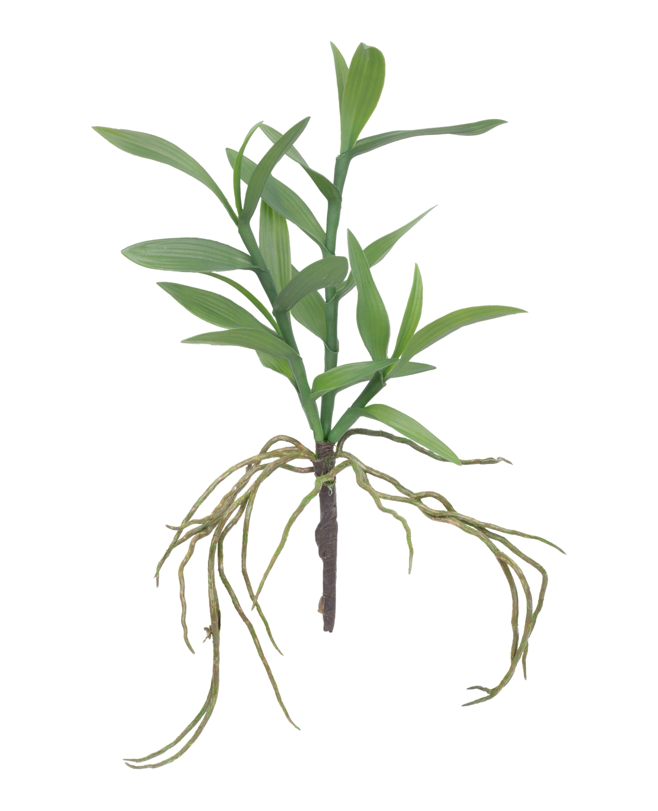 Folha Orquidea 40cm Sf341 Brilliance