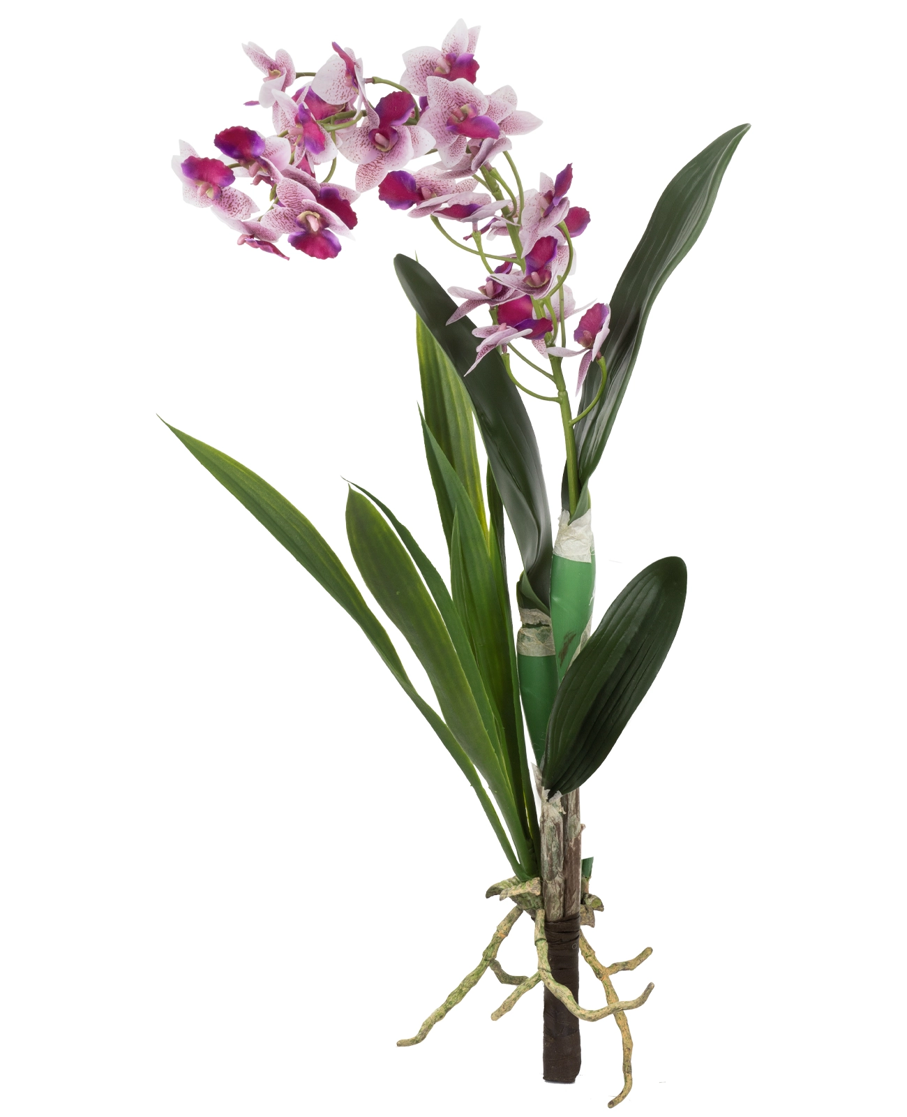 Haste Orquidea 3d 66cm Sf344 2 Brilliance
