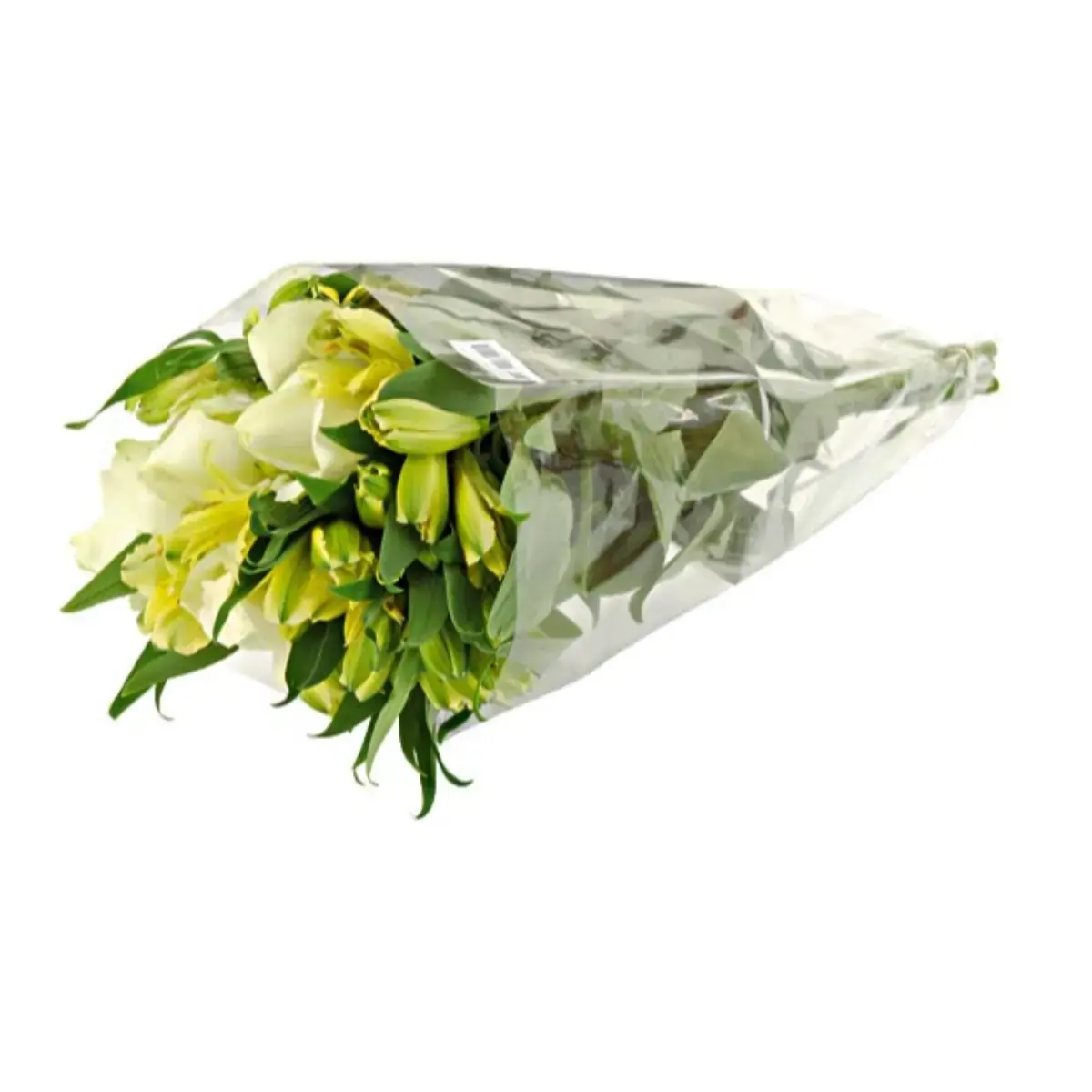 Buquê de Flores com 9 Hastes Cooperflora