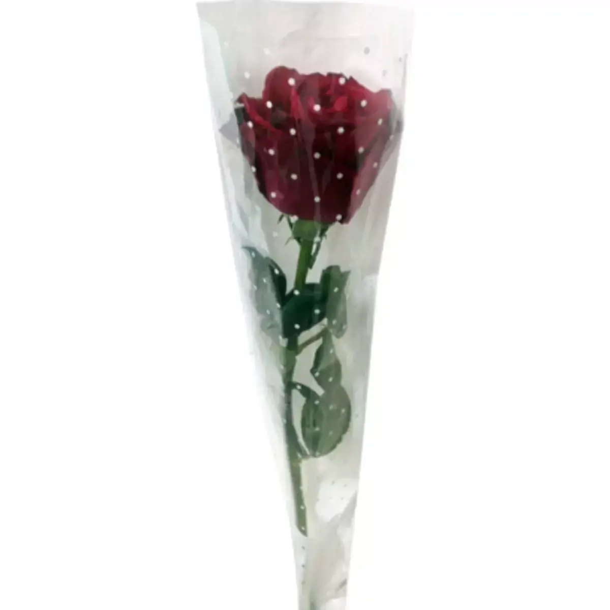 Rosa Unidade