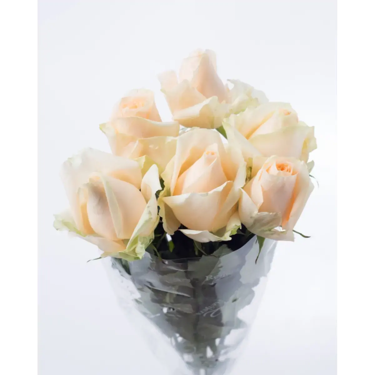 Maço de Rosa Peach Avalanche
