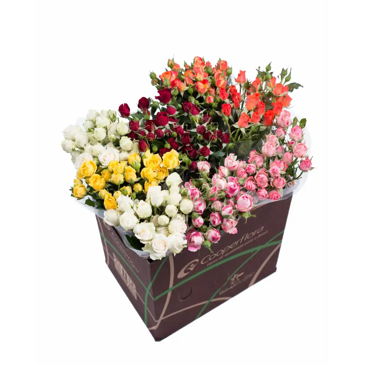 Maço de Rosas Variadas