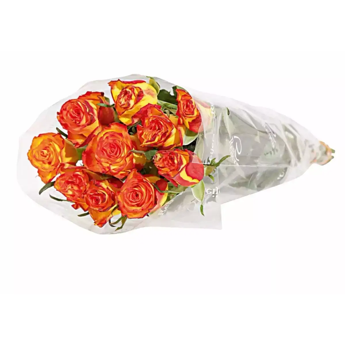 Maço de Rosas Bicolor